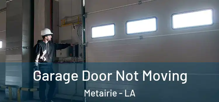  Garage Door Not Moving Metairie - LA