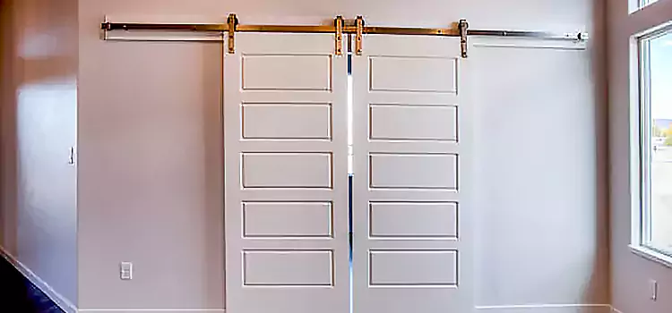 Glass Barn Door with Installation Hardware Kit Metairie