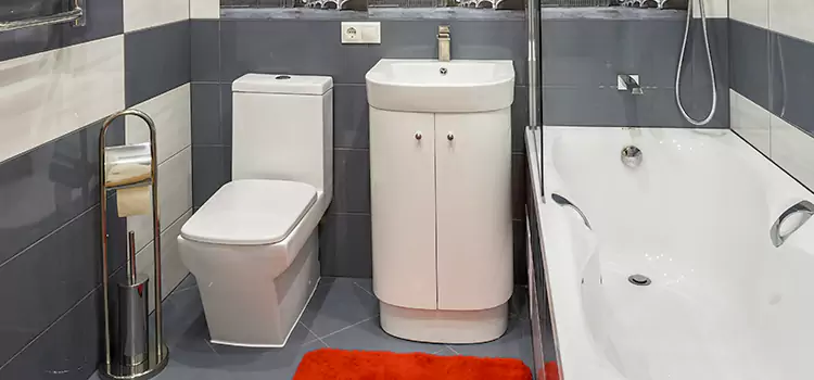 Hansgrohe Shaving Mirror Metairie
